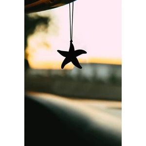 Metal Deniz Yıldızı Motifli Dikiz Aynası Süsü Oto Aksesuar Araba Süsü