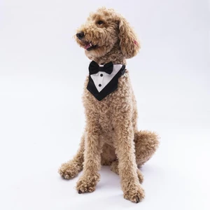 Siyah Smokin Kedi Köpek Fuları Pet Bandanası