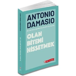 Olan Biteni Hissetmek
