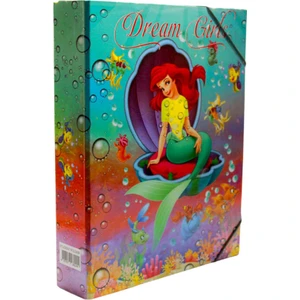 Rüya Kızlar Figürlü Lastikli Öğrenci Kutu Klasör 2077