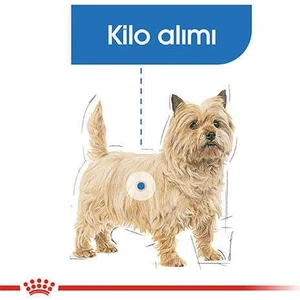 Royal Canin Mini Light Care Diyet Yetişkin Köpek Maması 3 Kg