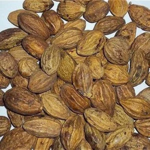 Yılmaz Şifalı Bitkiler ve Baharat Ürünü Sarı Halile Çekirdeği 100 Gram