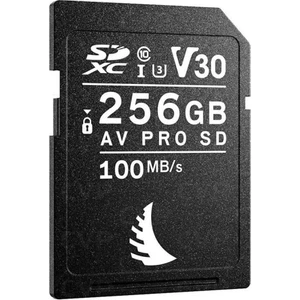 Av Pro V30 256GB Sd Kart