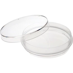 Cam Petri Kabı Kutusu 150 x 25 mm
