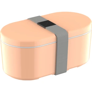 Boxy Large Coral 1450ML (49OZ) Lunch Box - Yemek Taşıma Kabı - Somon