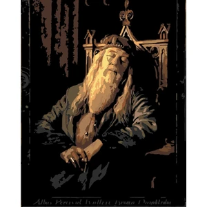 Womb Hobby Dumbldore Sayılarla Boyama Seti 40X50 cm Tuvale Gerili