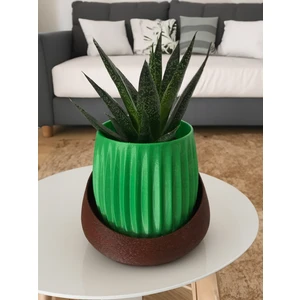 Modern Saksı - Masa ve Raflar İçin İdeal