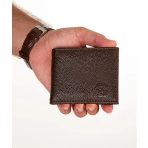 Newish Polo Erkek Deri Bozuk Para Hazneli Kartlık ve Cüzdan newpolo180 - Kahverengi