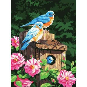 Womb Hobby Kuş Yuvası Sayılarla Boyama Seti  (Tuvale Gerili)