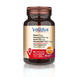 Iron 17 mg + Vitamin C 450 mg + Inulin 250 mg + Vitamin B12 1000 mcg 90 Capsules