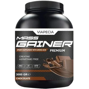 Gainer Çikolata Aromalı Karbonhidrat Tozu 3000 Gram