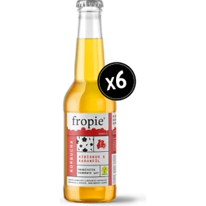 Hibiskus & Karanfilli Probiyotik Kombucha - 250 ml - 6 adet