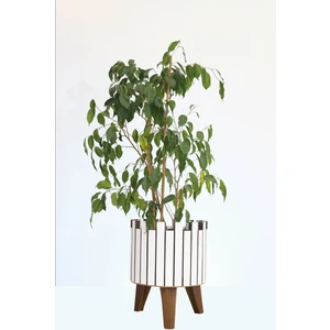 Hakan Mobilya Beyaz Modern Kahverengi Ayaklı Kale Model Saksı Büyük Dekoratif Çiçeklik Salon Ofis Balkon Bahçe Aksesuarı