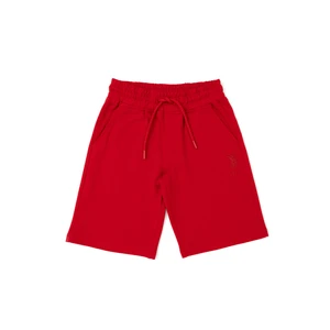U.S. Polo Assn. Erkek Çocuk Kırmızı Şort (Örme) 50279633-VR171
