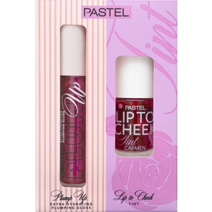 Plump Up Dolgunlaştıran Dudak Parlatıcısı 207 Mariposa & Lip To Cheek Tint Carmen