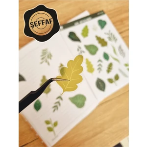 Sweet Twins - Şeffaf Floral & Leaf Temalı Laptop Notebook Telefon Tablet Ajanda Sticker Seti