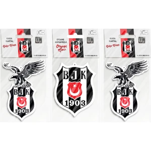 Oto Kokusu 3'Lü /Okyanus Ve Bahar Kokusu