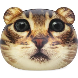 2'li Kedi Stres Topu