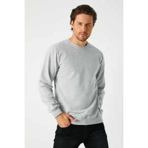 Erkek Gri Basic Bisiklet Yaka Regular Fit Normal Kesim 2 Iplik Sweatshirt
