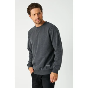 Erkek Antrasit Basic Bisiklet Yaka Regular Fit Normal Kesim 2 Iplik Sweatshirt