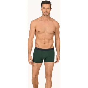 Yeşil Hendrix Modal Boxer