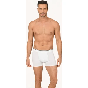Beyaz Hendrix Modal Boxer