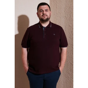 Büyük Beden Pamuklu Regular Fit Polo Yaka T Shirt Erkek Polo Yaka T Shirt 5902118B