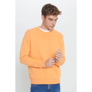 Altınyıldız Classics Standart Fit Normal Kesim Bisiklet Yaka Pamuklu Sweatshirt