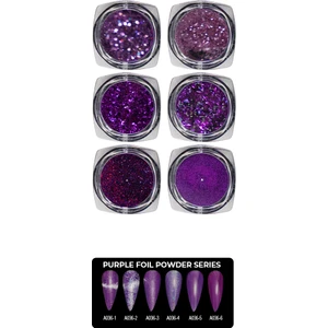 Tırnak Süsleme Pul Sim Seti Nail Art Protez Tırnak Süsleme
