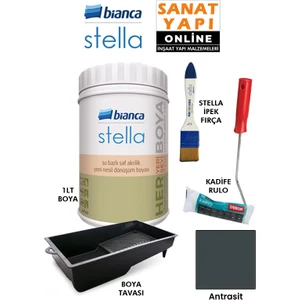 Stella Boya 4 Parçalı Set ( 1lt Boya - Boya Tavası- Stella Ipek Fırça - Kadife Rulo )