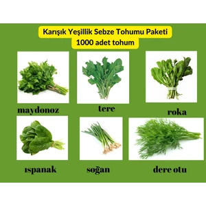 Yeşillik Sebze Tohum Paketi - 6 Çeşit Tohum Maydanoz, Tere, Roka, Dereotu , Soğan, Ispanak 1000 Adet