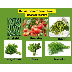 Bade Shop Sebze Yeşillik Tohum Paketi - 6 Çeşit Domates, Salatalık, Biber ,roka, Dereotu ,maydonoz  1000 Adet