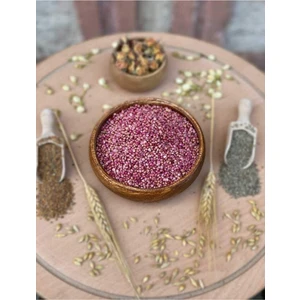 Bade Shop Ispanak Tohumu (Açık Tohum) - 25 Gram (Gr) Yaklaşık 2000 Adet