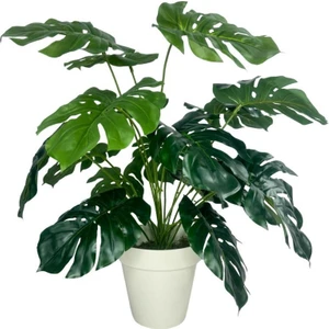 Yapay Çiçek Monstera Salon Çiçeği 50CM Beyaz Saksılı Yapay Bitki