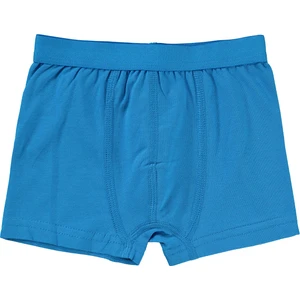 Civil Boys Erkek Çocuk Boxer 2-10 Yaş Saks-Lacivert