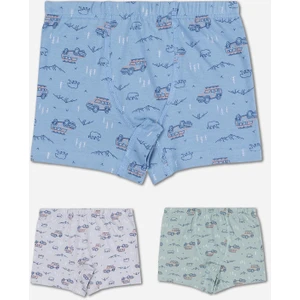 Erkek Çocuk Pamuklu Baskılı Rahat Kesim Likralı Boxer 3'lü Paket 3428 Renkli