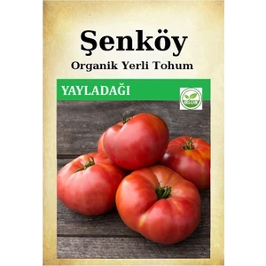 Yerli Yayladağı Köy Domates Tohumu Doğal Ata Tohum Pakette 2 gr 500 Tohum + Sebze Tohumu