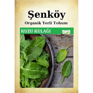 Yerli Kuzukulağı Ekşiotu Tohumu Doğal Ata Kuzu Kulağı Ekşi Otu Tohumu Pakette 10 gr