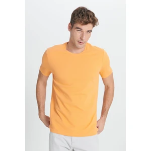 AC&Co / Altınyıldız Classics Erkek Kavun Icı Slim Fit Dar Kesim Modal Bisiklet Yaka Yumuşak Tuşeli Esnek Basic Tişört