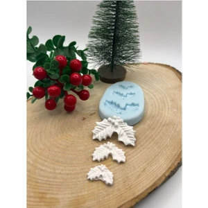 Kokina Silikon Kalıp