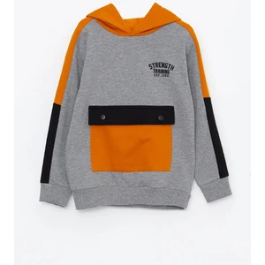 LC Waikiki Erkek Çocuk Sweatshirt