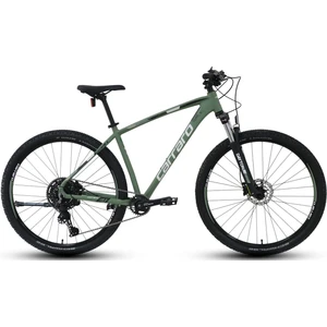 Daytona 910 29'' 10V Hd Dağ Bisikleti Mat Bambu Yeşili 48CM