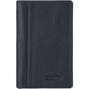 Hakiki Deri Kredi Kartlık - Kimliklik 555AR - Antrasit