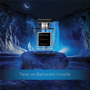 Secret Of Helen Hermes Edp 50 ml Erkek Parfüm