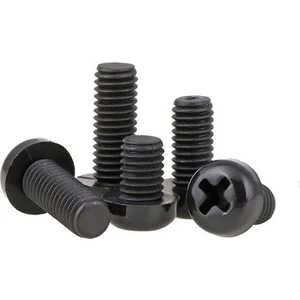 M2 x 4mm Plastik Civata Vida Siyah x 5  Adet  (RF003)