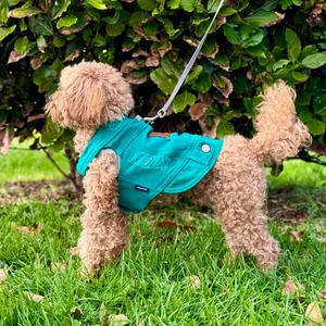 Salya Store Yeni - Çam Yeşili Renk Kot Köpek Yeleği - Küçük Irklar Için Şık ve Rahat Yelek (0-15KG)