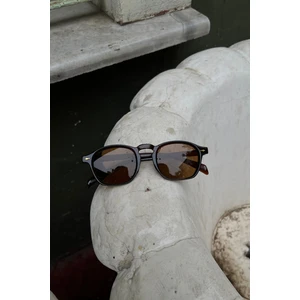 Cosmo Erkek Güneş Gözlüğü Kahverengi