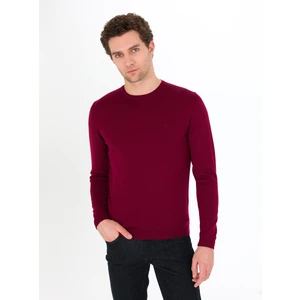 Erkek Bordo Regular Fit Bisiklet Yaka Basic Triko Kazak 50259680-VR014