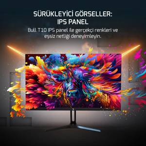 24'' Bull T10 Flat IPS 200Hz 0.5ms Gaming Monitör