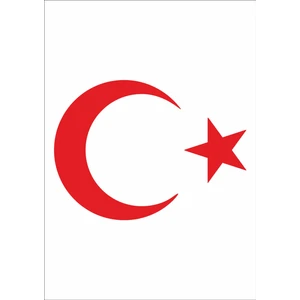 Sticker Dizayn Ay Yıldız Sticker Türk Bayrağı Sticker 00323
